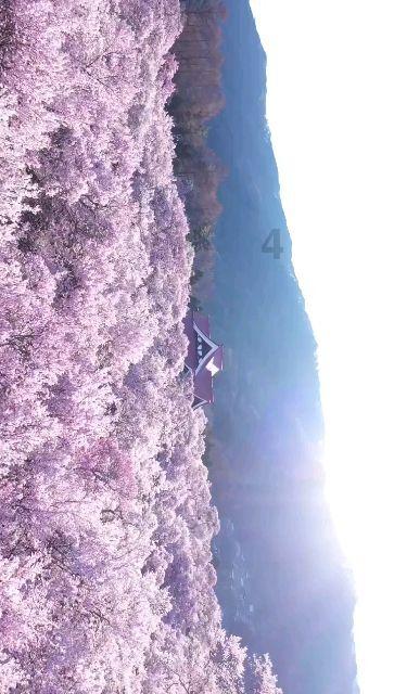 祝贺！他们是太原市2023年度最美“典型”